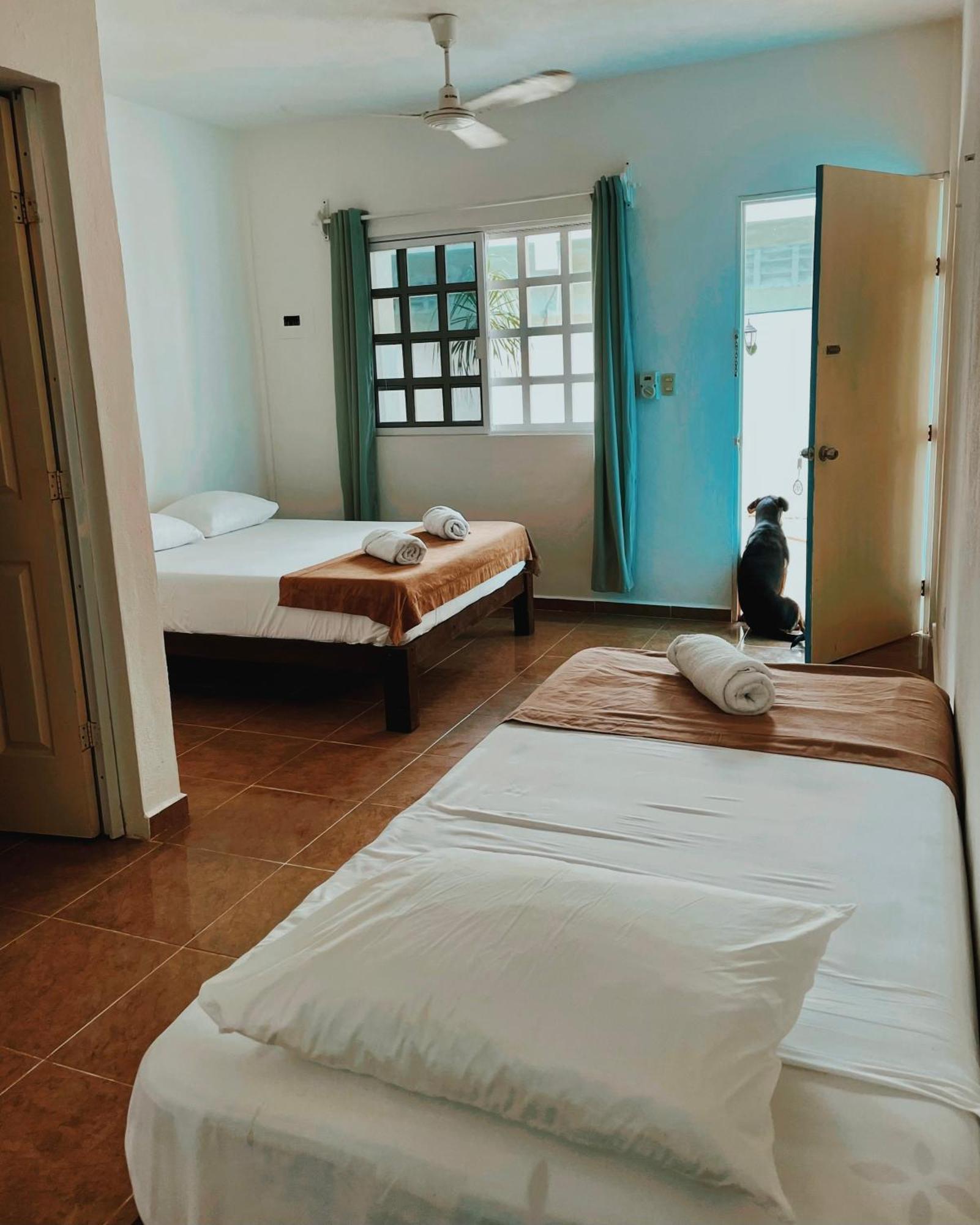 Pachamama Holbox - Hostel & Private Apartments מראה חיצוני תמונה